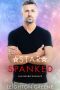 [Holiday Romance 03] • Star Spanked